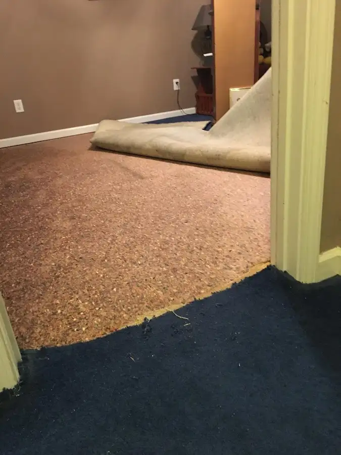 Carpet pad removal revealing water damage during Water Mitigation Services in Evanston